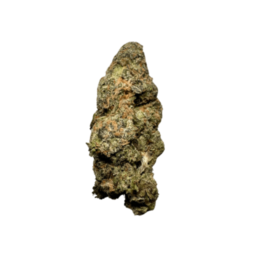 kamikaze strain