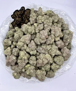 gelato 33 strain