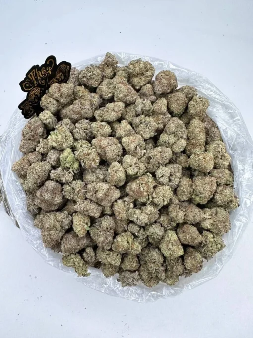 Jungle Cake Strain