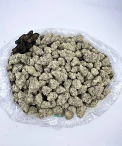 space cake strain