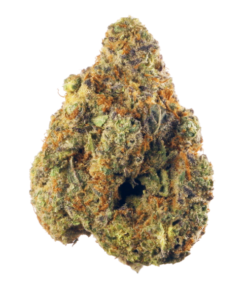 Indica