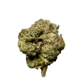OG Kush