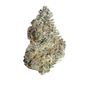 Northern Lights
